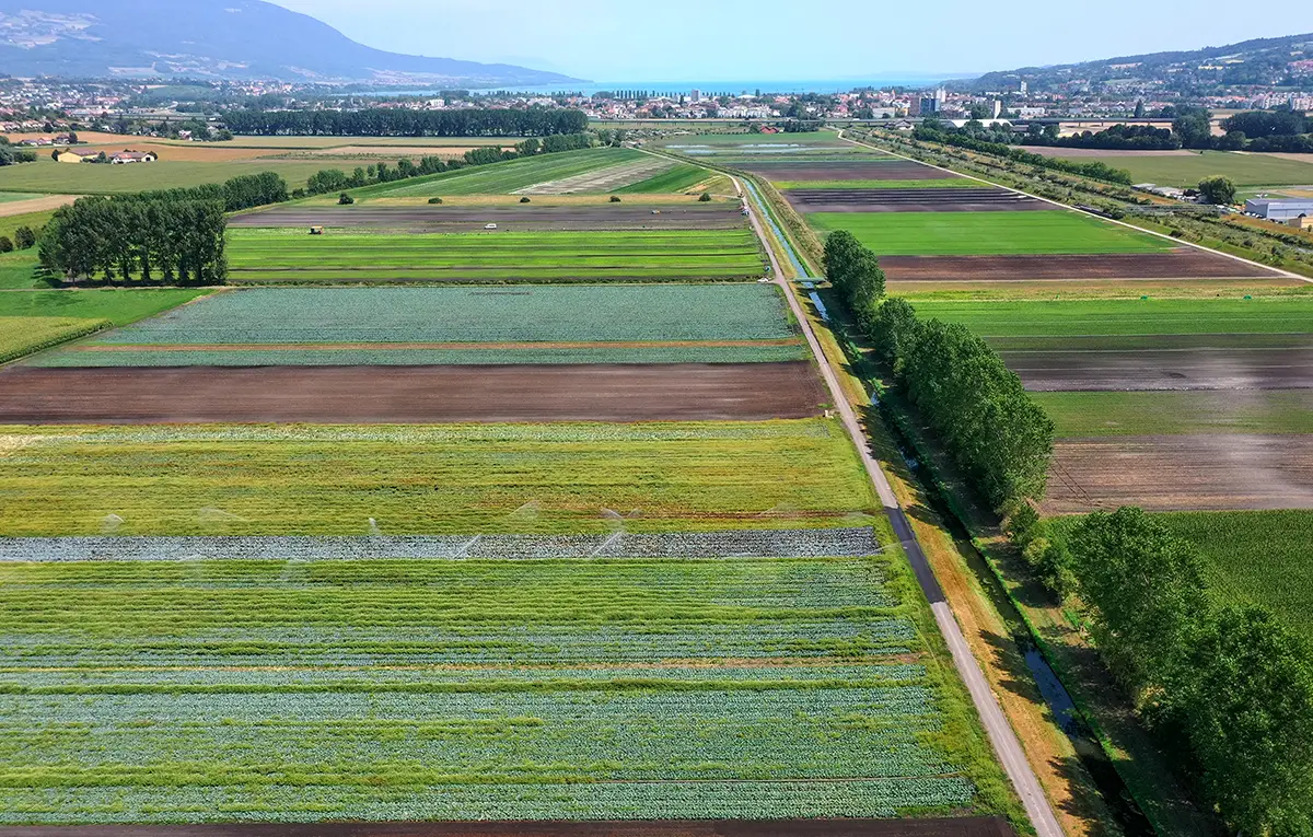 STOLL_Maraichers_Travailler_chez_nous_1