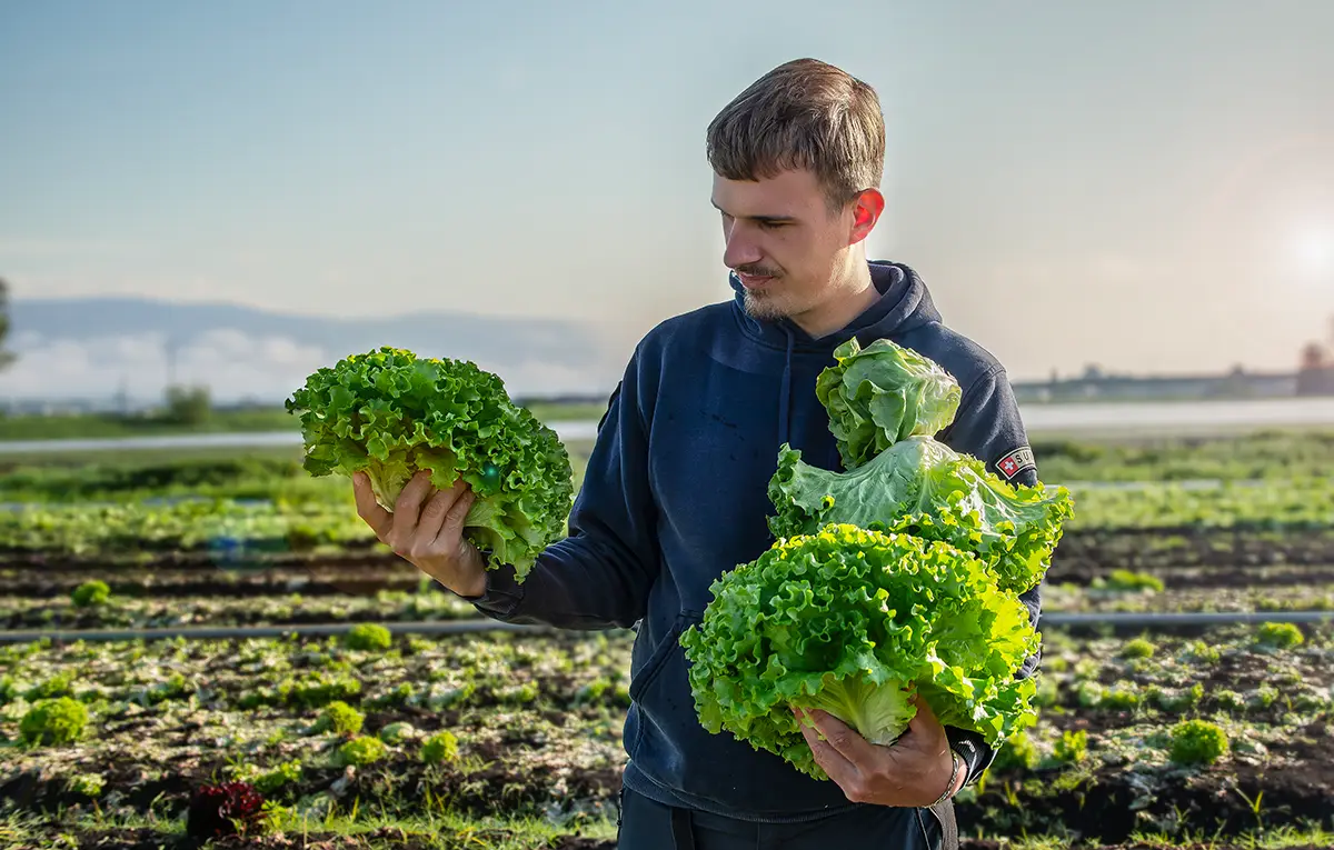 STOLL_Maraichers_Travailler_chez_nous_6