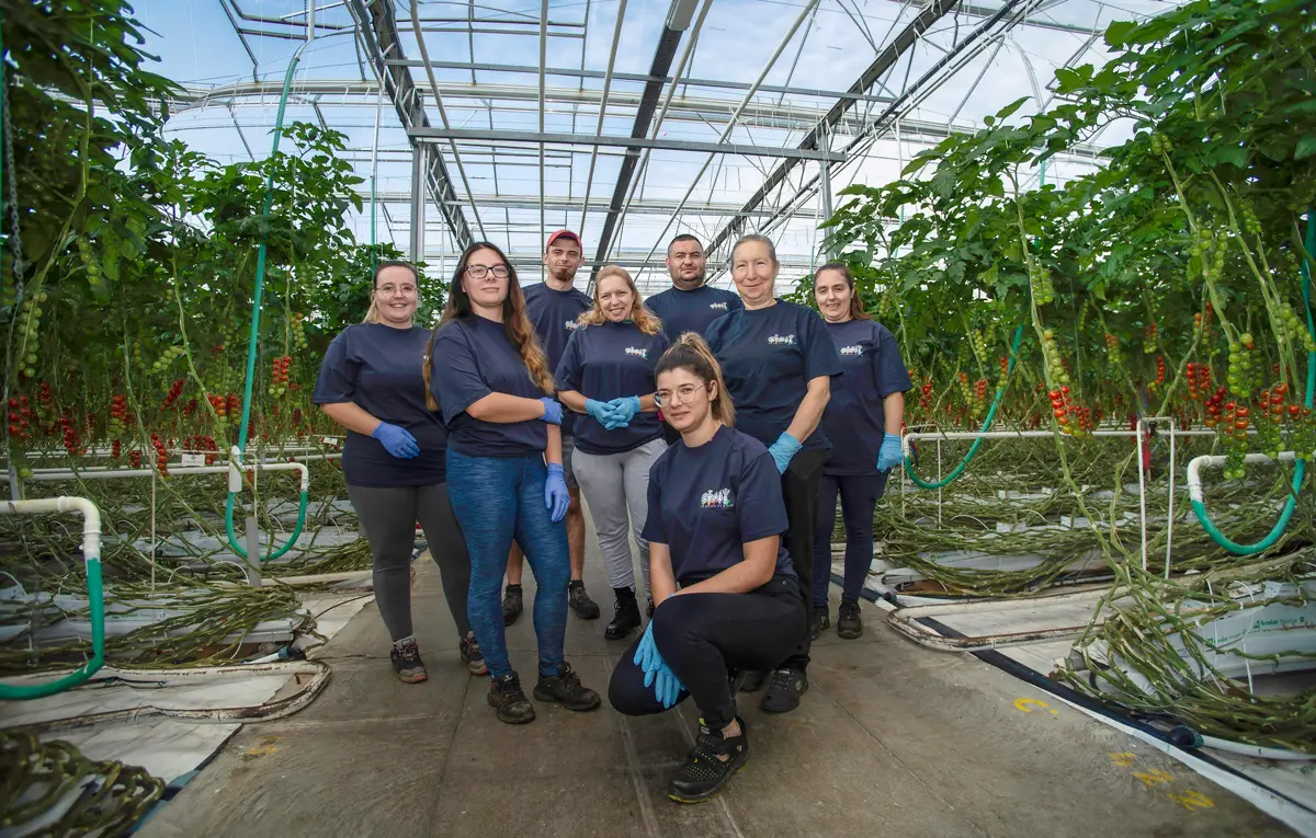 STOLL_Maraichers_Travailler_chez_nous_7