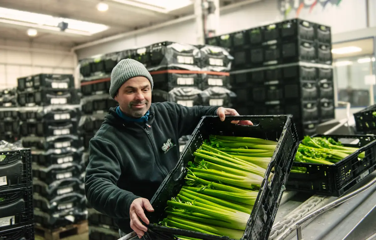 STOLL_Maraichers_Travailler_chez_nous_8